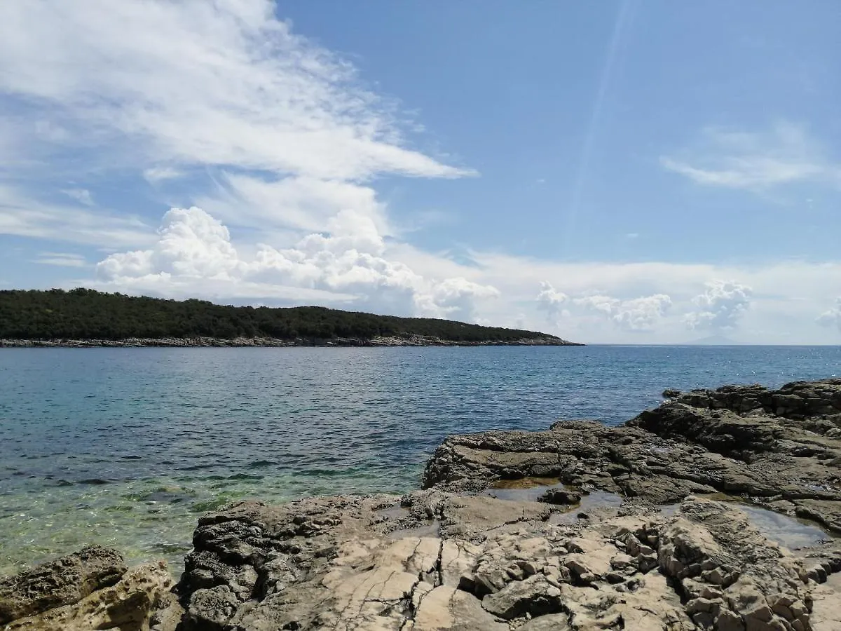 Apartment Studio Apartman Lorena Pavicini Croatia